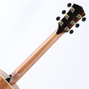 TAYLOR Gold Label 914e テイラー 画像5