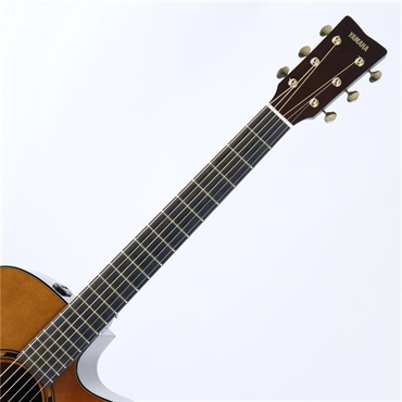 YAMAHA USED 中古  TAG3C SDB ヤマハ 画像4