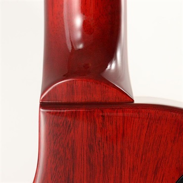 Gibson Slash Les Paul Standard (Appetite Amber) [SN.210060282] 【B級特価】 画像9