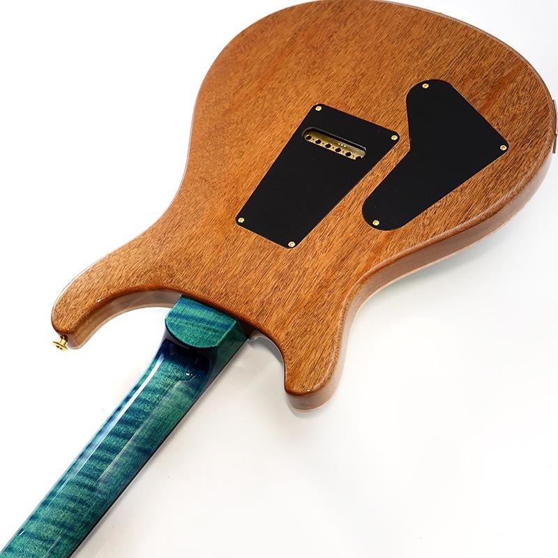 P.R.S. Wood Library Custom 24 10Top Japan Exclusive (Laguna) SN