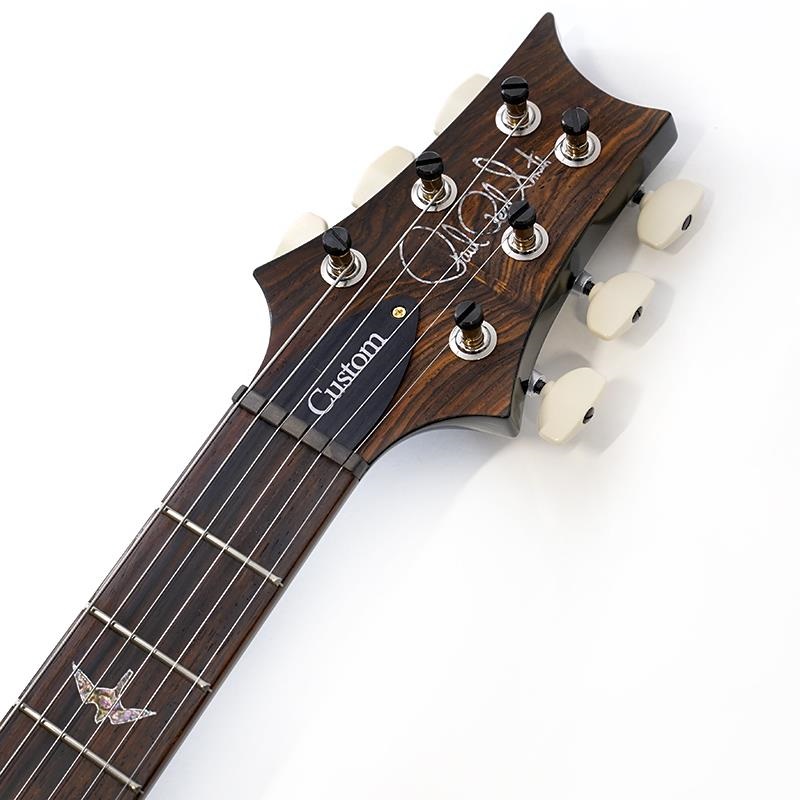P.R.S. Wood Library Custom 24 10Top Japan Exclusive (Teal Black