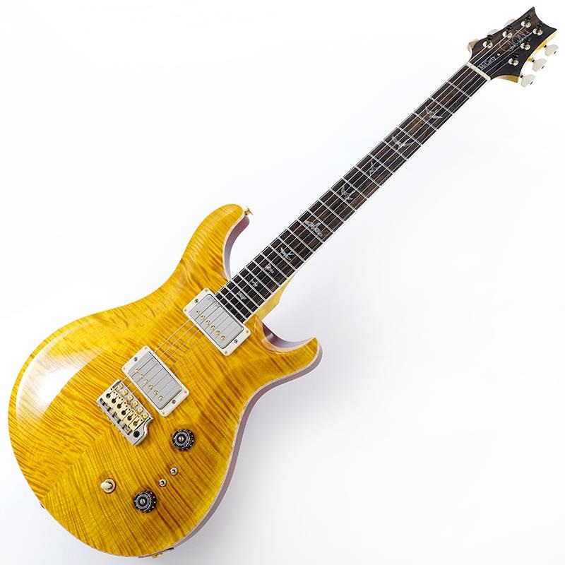 P.R.S. Wood Library McCarty Trem 10Top Japan Exclusive (Vintage