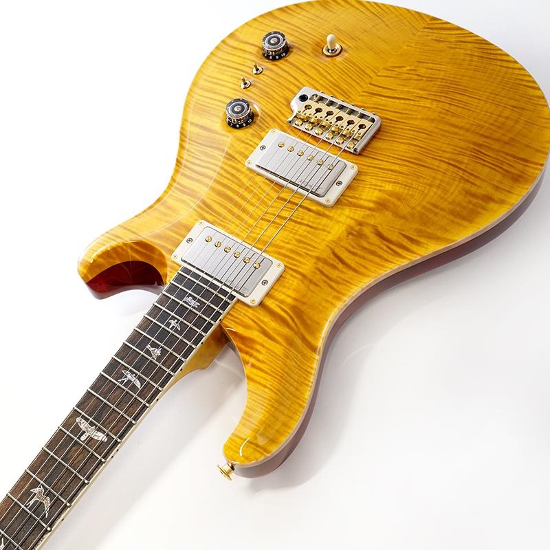P.R.S. Wood Library McCarty Trem 10Top Japan Exclusive (Vintage