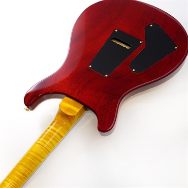 P.R.S. Wood Library McCarty Trem 10Top Japan Exclusive  (Vintage Yellow) SN.0426534 【2026年生産品】 画像6