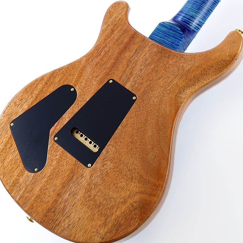 P.R.S. Wood Library McCarty Trem 10Top Japan Exclusive (Arctic