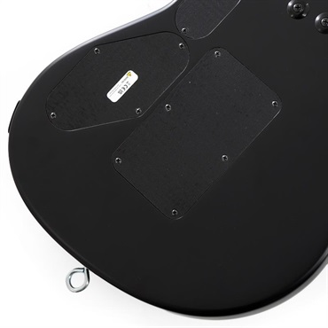 EVH MIJ Series EVH Signature Wolfgang (Stealth Black/Ebony) 画像7