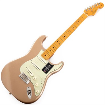 Fender USA American Professional Classic Stratocaster (Faded Firemist Gold/Maple) 画像1