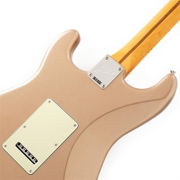 Fender USA American Professional Classic Stratocaster (Faded Firemist Gold/Maple) 画像5