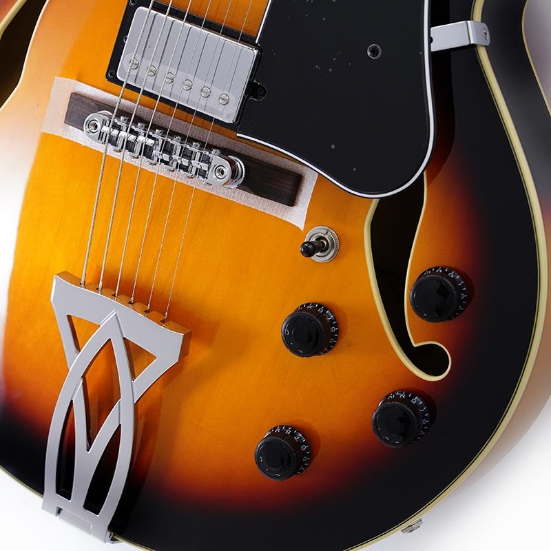 Ibanez AF75-BS 【特価】 ｜イケベ楽器店オンラインストア