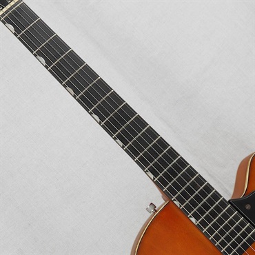 GRETSCH VINTAGE 6119 Chet Atkins Tennessean '59 画像8
