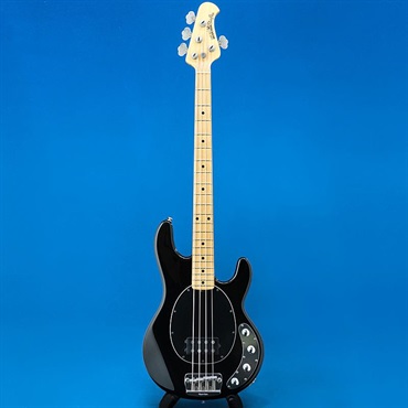 MUSICMAN USED 中古 StingRay (Black/Maple) 画像2