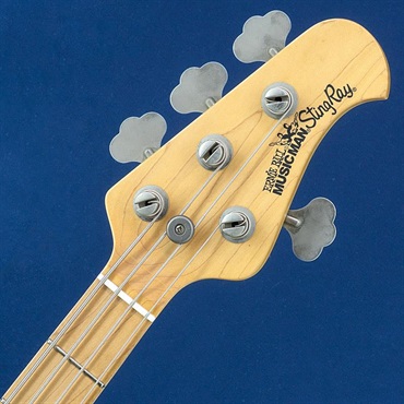 MUSICMAN USED 中古 StingRay (Black/Maple) 画像6