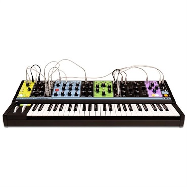 moog 【先取り大特価セール】(生産完了・ラスト1セット限定新品超特価)MATRIARCH & 純正キャリングケース(Matriarch SR Series Case) セット 画像3