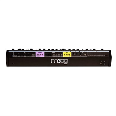 moog 【先取り大特価セール】(生産完了・ラスト1セット限定新品超特価)MATRIARCH & 純正キャリングケース(Matriarch SR Series Case) セット 画像4
