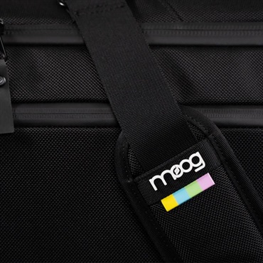 moog 【先取り大特価セール】(生産完了・ラスト1セット限定新品超特価)MATRIARCH & 純正キャリングケース(Matriarch SR Series Case) セット 画像9