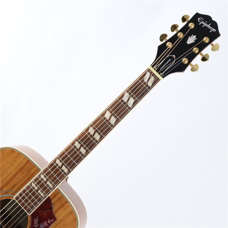 Epiphone Hummingbird Koa Special エピフォン |イケベ楽器店 Epiphone Hummingbird Koa Special エピフォン |イケベ楽器店
