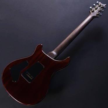 P.R.S. Ikebe Original Wood Library Custom 24 Indian Rosewood Neck & Brazilian Rosewood Fingerboard (Orange Tiger) #0423301【2026年生産品】 画像5