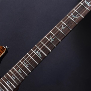 P.R.S. Ikebe Original Wood Library Custom 24 Indian Rosewood Neck