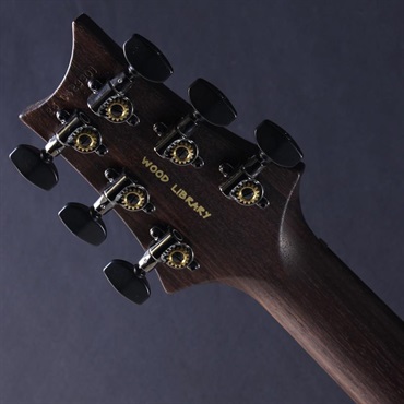 P.R.S. Ikebe Original Wood Library Custom 24 Indian Rosewood Neck & Brazilian Rosewood Fingerboard (Orange Tiger) #0423301【2026年生産品】 画像8