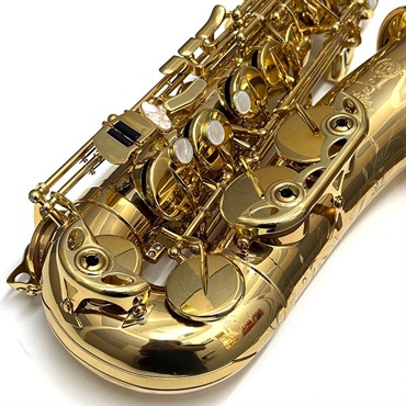 Selmer Paris USED 中古 アルトサックス セルマー SA-80II Jubilee GP