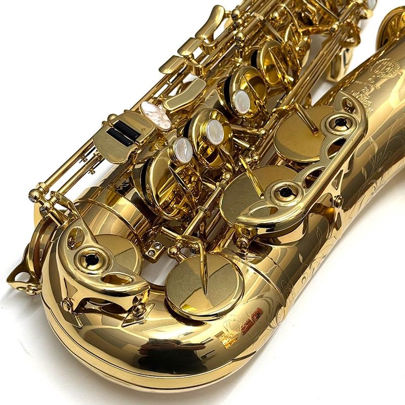Selmer Paris USED 中古 アルトサックス セルマー SA-80II Jubilee GP