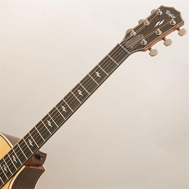 TAYLOR USED 中古 Next Generation 814ce テイラー 画像7