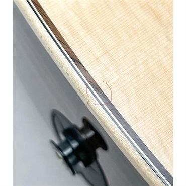 TAYLOR USED 中古 Next Generation 814ce テイラー 画像10