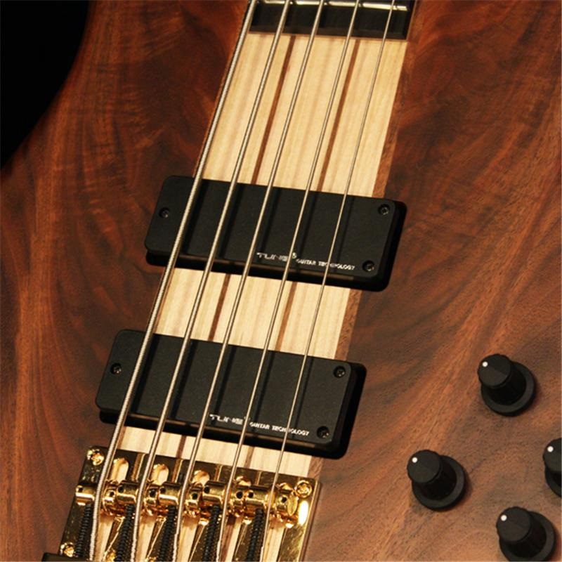 Phoenix GAP-518 Custom Crotch Walnut ｜イケベ楽器店オンラインストア
