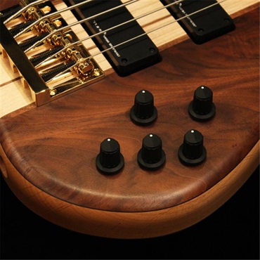 Phoenix GAP-518 Custom Crotch Walnut ｜イケベ楽器店オンラインストア