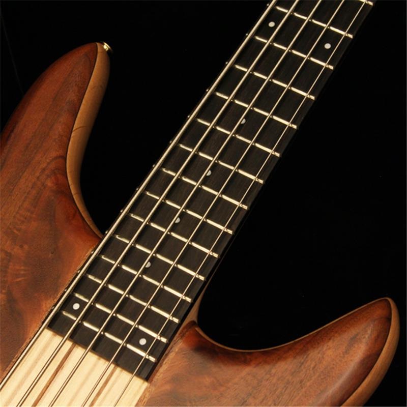 NOB 個人製作 不明 5弦アクティブベース ウォルナットマホガニー Phoenix GAP-518 Custom Crotch Walnut ｜イケベ楽器店オンラインストア