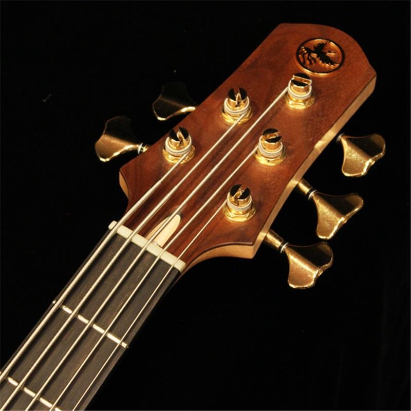 Phoenix GAP-518 Custom Crotch Walnut ｜イケベ楽器店オンラインストア