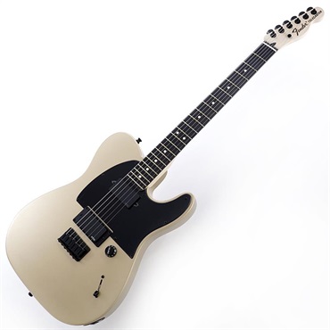 Fender MEX Limited Edition Jim Root Telecaster (Shoreline Gold) 【B級特価】 画像1