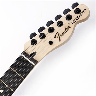 Fender MEX Limited Edition Jim Root Telecaster (Shoreline Gold) 【B級特価】 画像6
