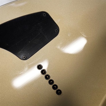 Fender MEX Limited Edition Jim Root Telecaster (Shoreline Gold) 【B級特価】 画像7
