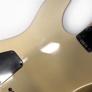 Fender MEX Limited Edition Jim Root Telecaster (Shoreline Gold) 【B級特価】 画像8
