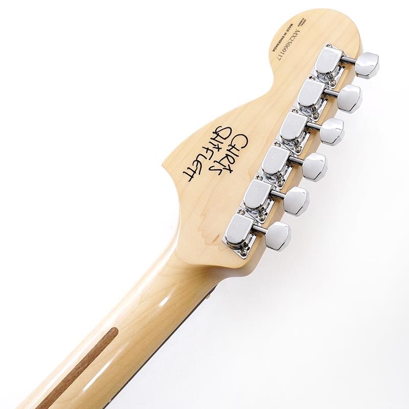 Fender MEX Chris Shiflett Telecaster Deluxe (Shoreline Gold