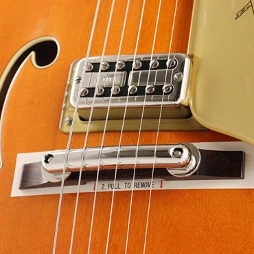 GRETSCH G6120T-59 Vintage Select Edition '59 Chet Atkins Hollow Body with Bigsby (Vintage Orange Stain Lacquer) 画像5