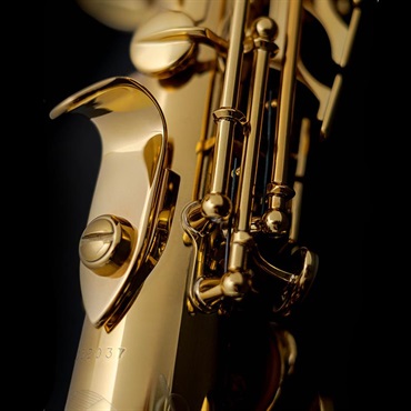 Selmer Paris 【ご予約商品、入荷時期未定】【新製品】ソプラノサックス セルマー Signature シグネチャー DARK SL(ダークシグネチャーラッカー) 【調整&セットアップ後出荷】【5年間キーバランス調整無料】 画像7
