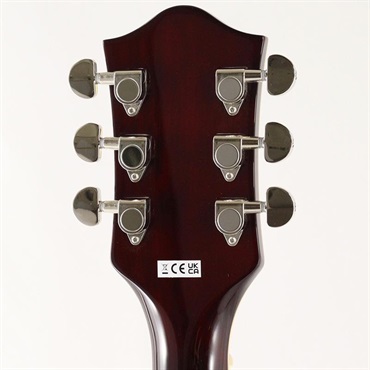 GRETSCH G2655 Streamliner Center Block Jr. Double-Cut with V-Stoptail (Steel Olive) [SN.IS250901079] 【B級特価】 画像8