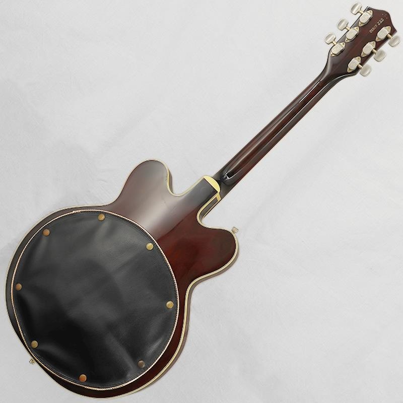 GRETSCH VINTAGE 6122 Chet Atkins Country Gentleman '67 ｜イケベ