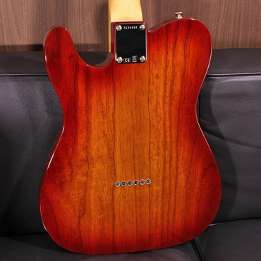 Fender Custom Shop Rose Myrtle Telecaster NOS Cherry Sunburst SN. R146654 画像6
