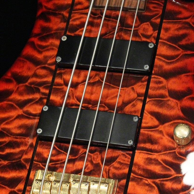 Freedom Custom Guitar Research USED 中古 Dulake 4strings Premium