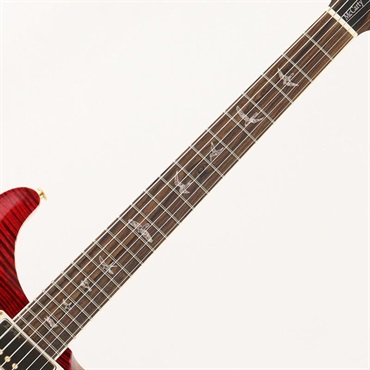 P.R.S. Wood Library McCarty Trem 10Top Japan Exclusive (Red Tiger) [SN.0426493] 【2026年生産品】 画像6