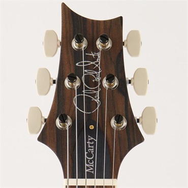 P.R.S. Wood Library McCarty Trem 10Top Japan Exclusive (Red Tiger) [SN.0426493] 【2026年生産品】 画像8