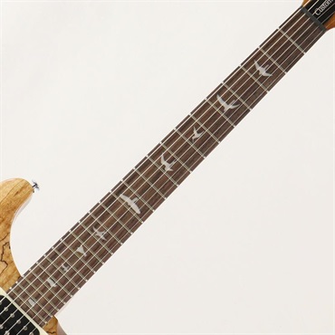 P.R.S. Ikebe Exclusive SE Custom 24 Spalted Veneer (Natural) [SN.CTI H068426] 【2025年生産品】 画像5