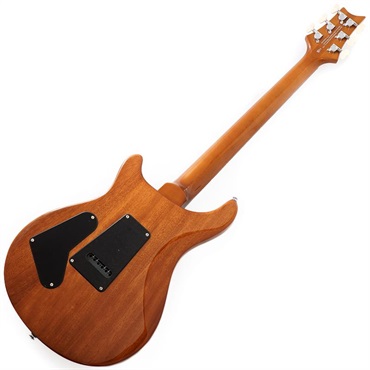 P.R.S. Ikebe Exclusive SE Custom 24 Spalted Veneer (Natural) SN.CTIH068969 【2025年生産品】 画像2