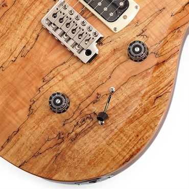 P.R.S. Ikebe Exclusive SE Custom 24 Spalted Veneer (Natural) SN.CTIH068969 【2025年生産品】 画像4