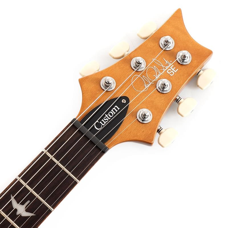 P.R.S. Ikebe Exclusive SE Custom 24 Spalted Veneer (Natural) SN