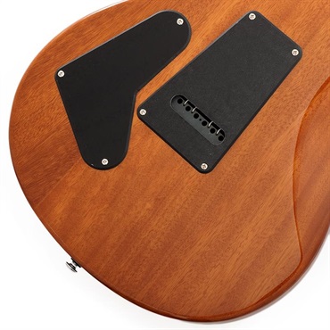 P.R.S. Ikebe Exclusive SE Custom 24 Spalted Veneer (Natural) SN.CTIH068969 【2025年生産品】 画像7