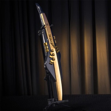Roland Aerophone Pro Gold Limited Edition [AE-30A] ローランド エアロフォン特別限定仕様モデル【10月29日発売・予約受付中】 画像3
